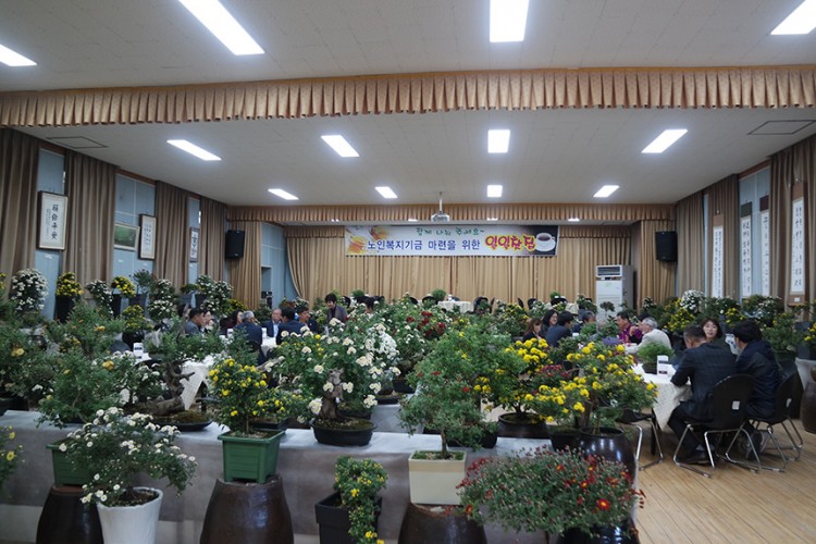 2376680893456f00e9c8672b3cd75da8_1573116